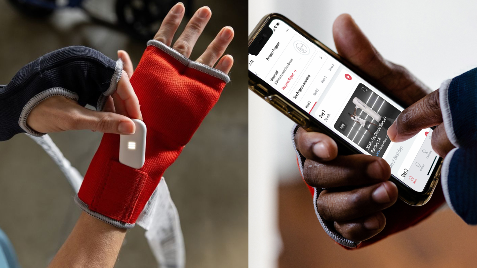 Article image - FightCamp Trackers Article image - FightCamp Trackers